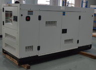 220V  - 690V 45KW 56KVA  Industrial Generators , Water Cooled Green Power Generator