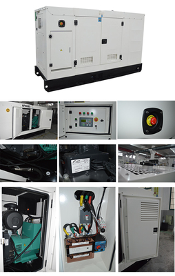 Silent Low Fuel Consumption Diesel Generator Set Italy FPT FPT Engine