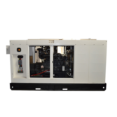 300 KVA 6 Cylinder Power FPT Engine Generators Support Customer Customization